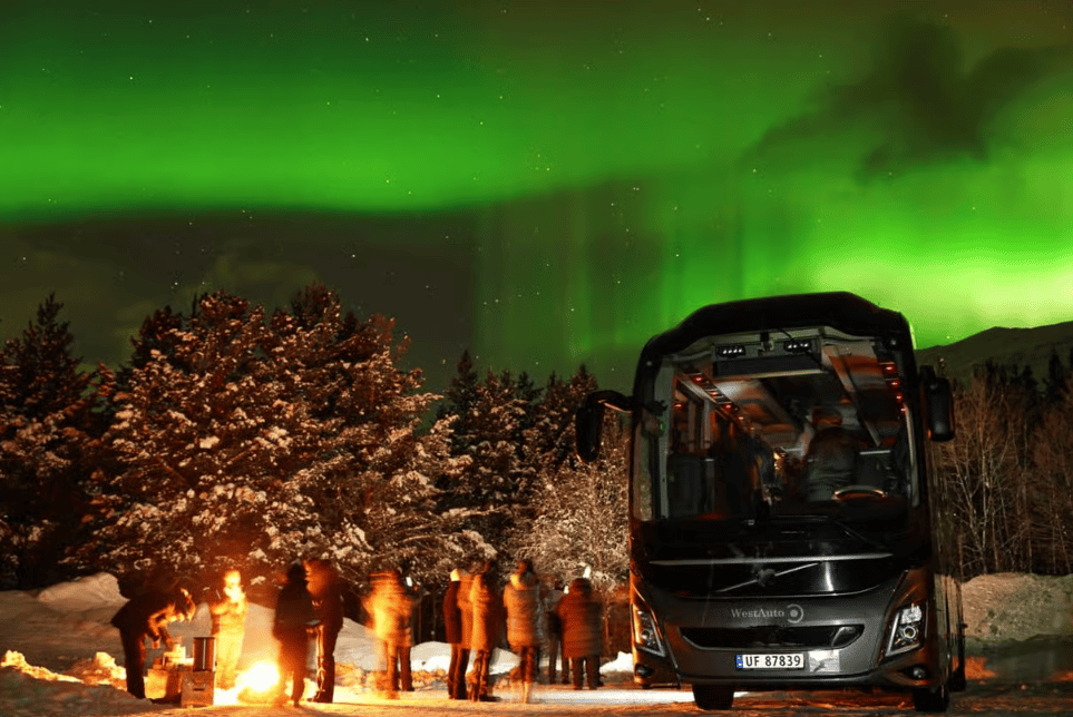 Tromsø: Northern Lights Safari with Expert Guides and Photos photo 8