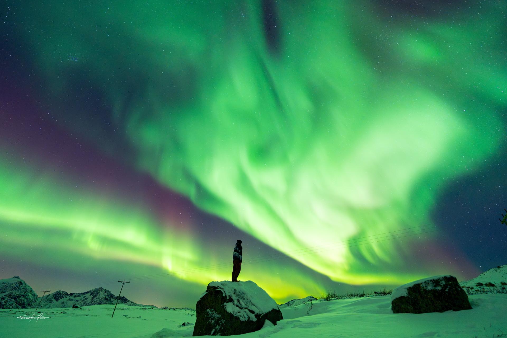 Tromsø: Northern Lights Safari with Expert Guides and Photos photo 21