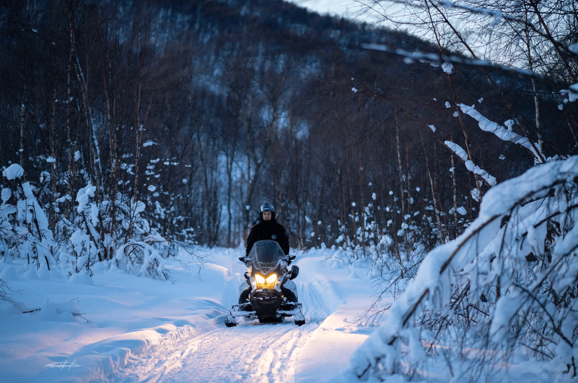Tromsø: Local Snowmobile Experience photo 5