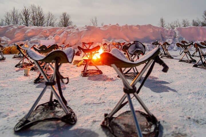 Tromsø: Northern Lights Tour with French-Speaking Expert Guides and Photos photo 7