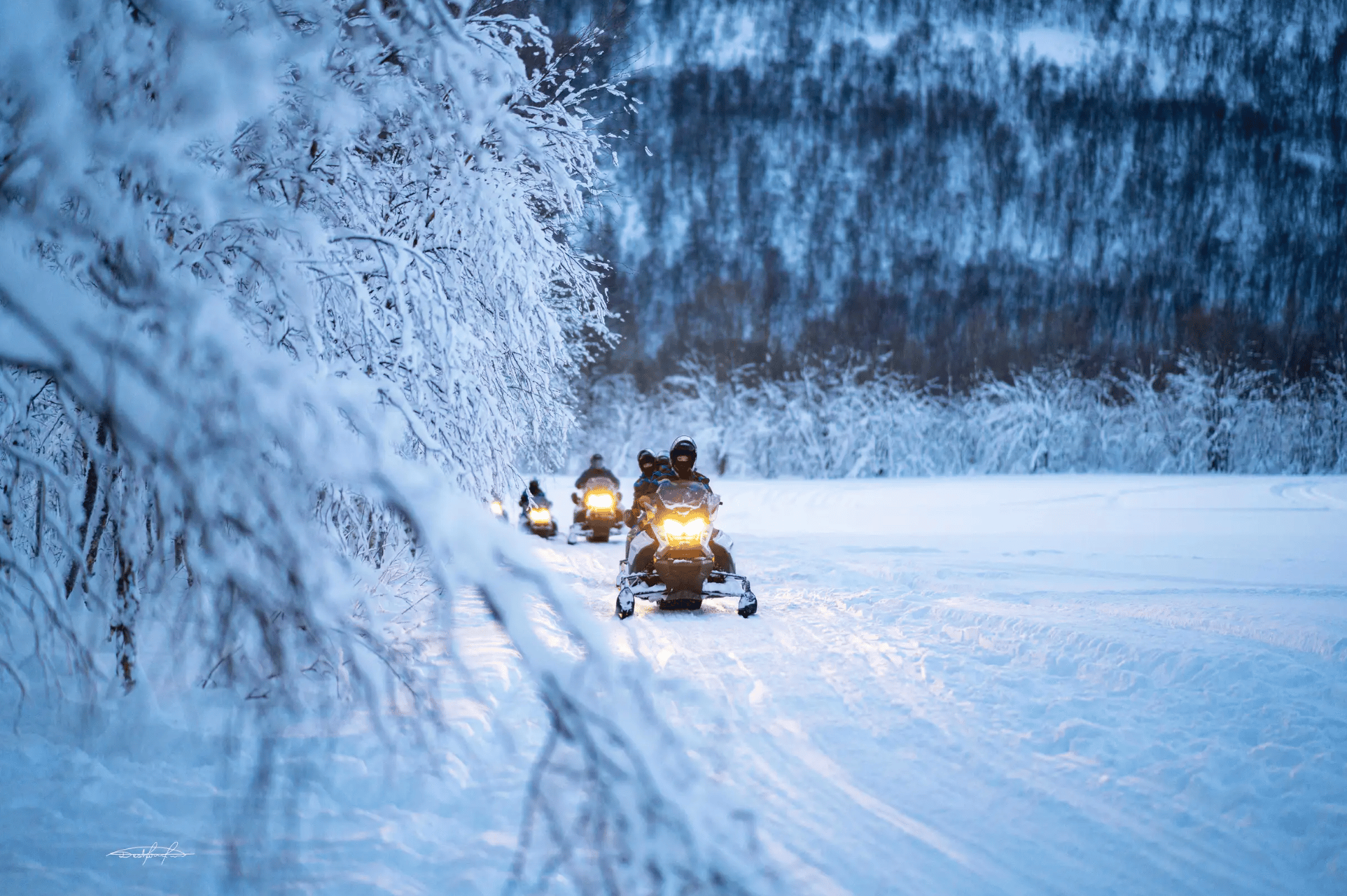Tromsø: Local Snowmobile Experience photo 9