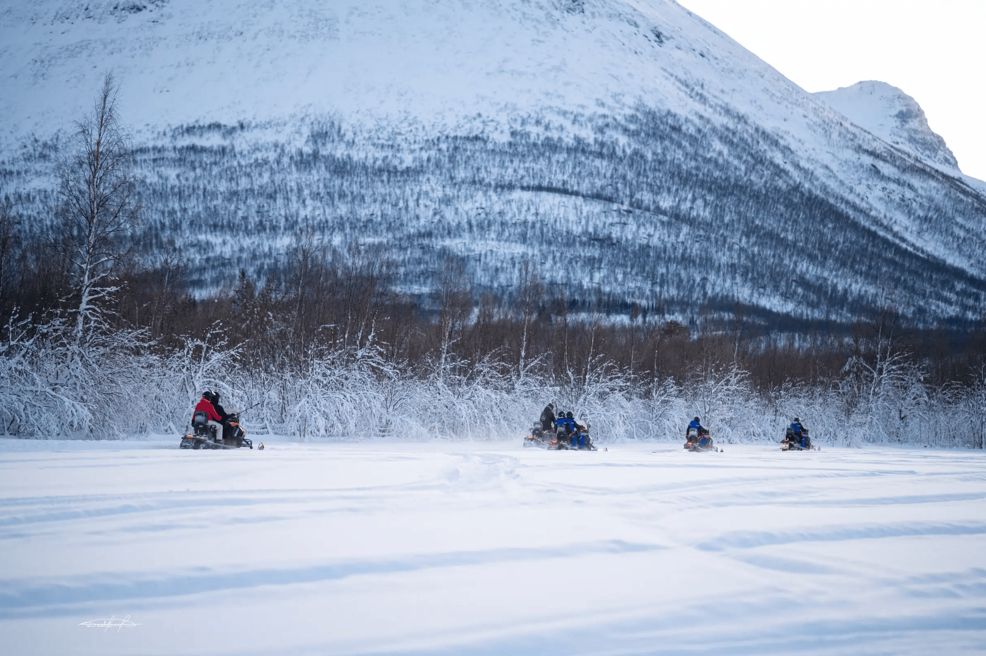Tromsø: Local Snowmobile Experience photo 10